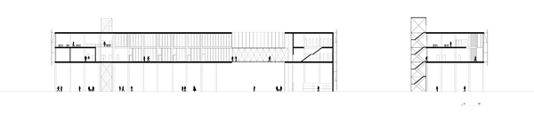 section